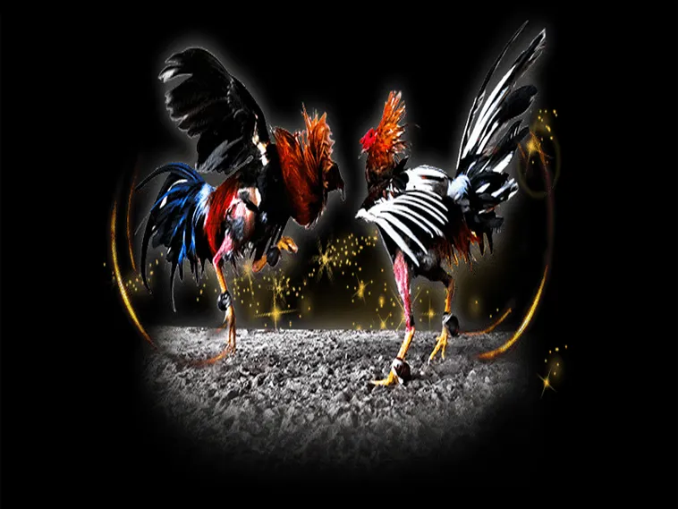 Hướng Dẫn Cách Chơi Đá Gà Sabong Tại Mu88 Từ Chuyên Gia 1 Hướng Dẫn Cách Chơi Đá Gà Sabong Tại Mu88 Từ Chuyên Gia